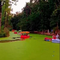 تور یک روزه شاد گیلان گردی