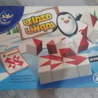 بازی معمای هوش