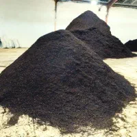 فروش چای بهاره ۱۴۰۵ در انواع مختلف طعمی گس