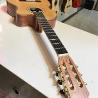 گیتار واشبورن