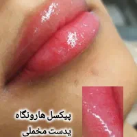 شیدینگ لب به متدجدیددارک لیپس|خدمات آرایشگری و زیبایی|بندرعباس, |دیوار