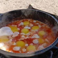 پخت انواع غذا های ایرانی