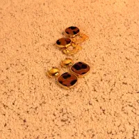 گوشواره پلنگی|بدلیجات|رشت, صفاری|دیوار