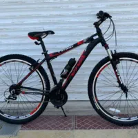 دوچرخه ویوا اورجینال