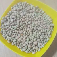 لوبیا آشی امسال