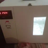 دستگاه جوجه کشی|لوازم جانبی حیوانات|مشهد, کوی دروی|دیوار