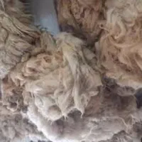 پشم گوسفندی