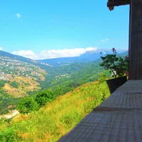 ویلا جنگلی یه خوابه دربست فیلبند چلاو بکر و آرام|اجارهٔ کوتاه‌مدت ویلا و باغ|امامزاده عبدالله, |دیوار