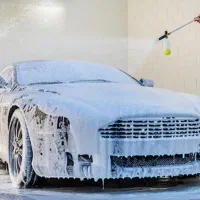 نیروی کارواش