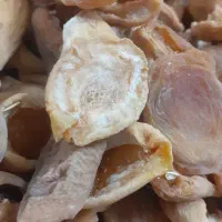 برگه زردآلو طبیعی وتازه|حراج|قم, انسجام|دیوار