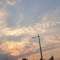 کارت ملی و بانکی گم شده