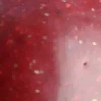 اسکنر قابل حمل