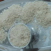 فروش برنج مرغوب مازندران|خوردنی و آشامیدنی|تهران, نصرت|دیوار