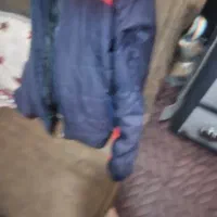 کاپشن|لباس|قم, شاد قلی|دیوار