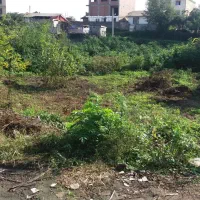 زمین بایر در تالش