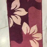 پادری سالم