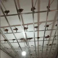 سقف گستر گیلان در خدمت شما عزیزان|خدمات پیشه و مهارت|ماسال, |دیوار