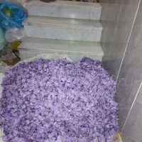 زعفران تازه عیار بالا|خوردنی و آشامیدنی|سبزوار, فیاض|دیوار