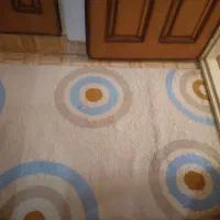 قالیچه|فرش|مراغه, |دیوار