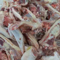 استخوان مرغ