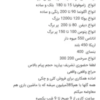 گلخانه گل های اپارتمانی