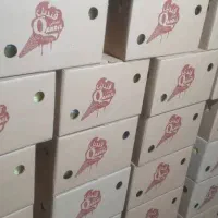 شراکت شریک راهنمایی سرمایه گذارهمکاری‌تولیدی بستنی