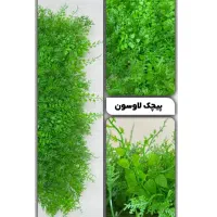 چمن مصنوعی|گل مصنوعی|کرج, حسینآباد|دیوار