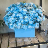باکس گل آماده ارسال بازار گل آسمان چیتگر غرب تهران|گل و گیاه طبیعی|تهران, شهرک شهید باقری|دیوار