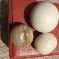 سنگ قیمتی سنگ آسیاب|کلکسیون و سرگرمی|تهران, تهرانسر شمالی|دیوار