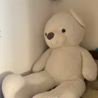 خرس بزرگ ۲ متری