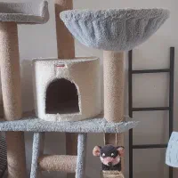 اسکرچر باکس جای خواب لوازم سگ و گربه