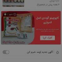 تن ماهی و انواع کنسرو|خوردنی و آشامیدنی|شیراز, دروازه اصفهان|دیوار