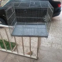 قفس ۵۲ حرفه ای