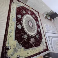یک جفت فرش ۱۲متری کار کرده