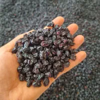 کشمش مویز درجه یک بدون هسته|خوردنی و آشامیدنی|تهران, فاطمی|دیوار
