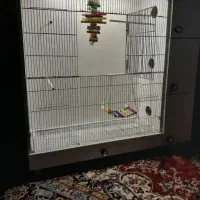 سهره اهوازی گمشده