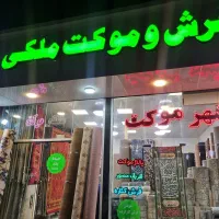 پخش موکت ملکی