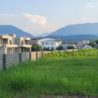 فروش فوری 246متر در شهرک جنگلی سنددار پرداخت با چک|فروش زمین و ملک کلنگی|خرمآباد (تنکابن), |دیوار