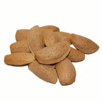 بادام شکنی، فندق شکنی، پسته و گردوشکنی با دستگاه