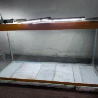 آکواریوم طول 100|ماهی|خمینیشهر, |دیوار