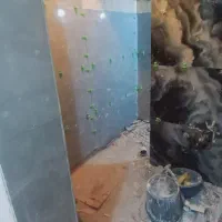 کاشیکاری ساختمان