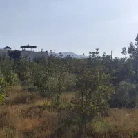 ۵۰۰ متر باغ(زمین)