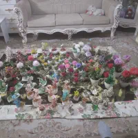 گلهای تزئینی