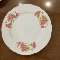 بشقاب چینی|ظروف سرو و پذیرایی|مشهد, چهارچشمه|دیوار
