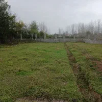 زمین مسکونی ۱۱۵۰م سراوان سنگرقاضیان گیلان کچا شمال