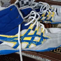 کفش کشتی|کیف، کفش، کمربند|قروه, |دیوار