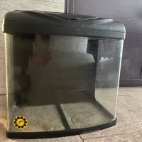 اکواریوم