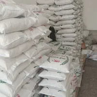 برنج طارم فجر|خوردنی و آشامیدنی|مینودشت, |دیوار