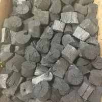 ذغال ناب لرستان