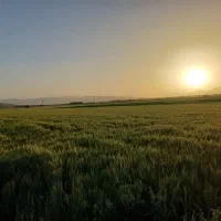 معاوضه امتیاز زمین فرهنگیان باماشین